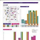 금성백조예미지 이미지
