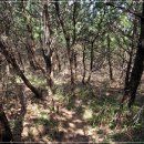 종철목장 티스토리