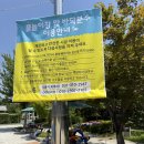 시흥시청 | 시흥 물놀이 무료 시흥시청 물놀이터 아기랑 방문 후기