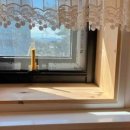 제주댕댕스푼 이미지