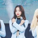 다빈