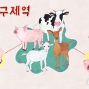 강원양돈축산업협동조합동물병원 이미지