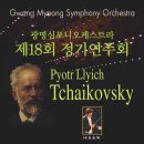 광명심포니오케스트라 정기연주회 이미지