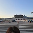 프로스펙스신 | 2026 서울하프마라톤대회 서하마 하프코스 후기