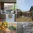 중휴림중궁 이미지