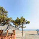 맹방해변로 이미지