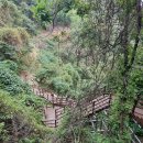 치악산둘레길 10코스 아흔아홉골길 이미지