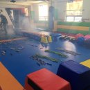 백호용인대합기도 이미지