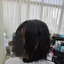 라니의손길