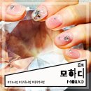 모하디네일