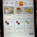 다인카워시 | [내돈내산] 카페 오봄 후기 / 도림사거리 분위기 좋은 카페 (반려견 동반카페) 🌺