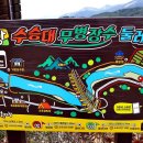 무병장수 둘레길 이미지