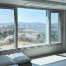 고구려시스템 | 유리난간]{내돈내산}거실 뷰의 완성✨ 고구려시스템 유리난간 & 안전방충망 시공 후기 (삶의 질 상승템!)