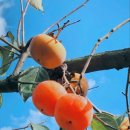 시인공간 이미지