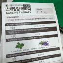 서울안아프게치과의원 | 금니가 (또) 빠졌다(feat.서울안아프게치과의원)