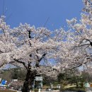 대학한약국 이미지