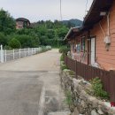 숲속의향기 이미지