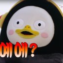 정성본샤브칼국수 이미지