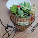 청수건강생활지원센터 | 청수건강생활지원센타 연수 시니어 그림책 원예체험 아름다운 인생 자전거여행