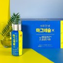 튼튼한하루