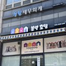 요기독 강아지분양 고양이분양 서울본점 | 종로펫샵 요기독 귀여운 강아지들 건강하고 예뻐요!