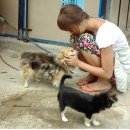 은냥이네 이미지