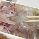 부산식당 | 운정 맛집 | 파주 운정 횟집 막회 포장 솔직후기 : 부산식당 운정점