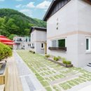 가평금잔디 이미지