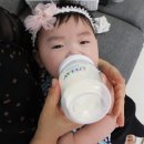 D00466 | 신생아배앓이 없이 소화흡수 도와주는 앱솔루트 센서티브 역시나 달라요.