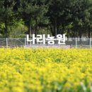 자연농원(송이)