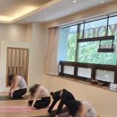 요가(야)A | 20251015(수)_하타 수련일지