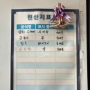 순자네홍두깨손칼국수 이미지