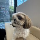 신동동물병원 이미지