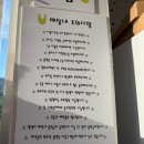 구미캠핑장 | 구미 부곡동 애견 동반 가능한 캠핑장 옐로우레빗츠 방문 후기