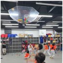 태비태권도 이미지