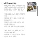 표고버섯선물가게