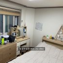 상남동232 이미지