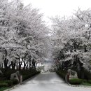 총리목장 Daum카페