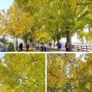 (주)은행나무 이미지