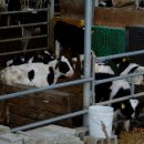 성상2리마을회관 이미지