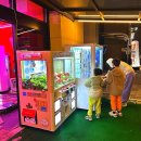 뽑기게임장 이미지