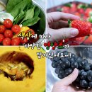 동이푸드