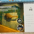 거북마루로 | 아라마루 아쿠아리움 탁상달력 선물 기분좋아 남기는 후기