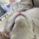 금복 미용실