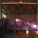 부자김밥 이미지