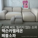 소파를찾는사람들 | 강아지와 함께 사용하기 좋은 소파, 잭슨카멜레온 페블소파 사용후기