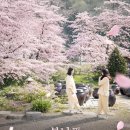자연愛향기