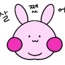 덕이케이크