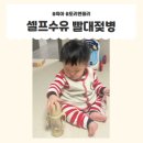 밀론앤스마트짐 | 토비앤몰리빨대젖병, 셀프수유 걱정 끝! 사레들림 없는 스마트한 육아템 후기