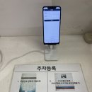 백만약국 | 일산 백석동 롯데아울렛 고양터미널 맛집 착한파스타 및 주차 후기